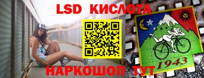 гидра Кимры