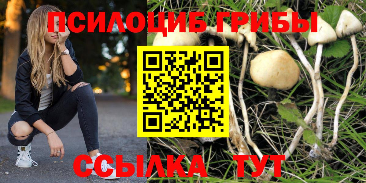 Галлюциногенные грибы Cubensis Искитим