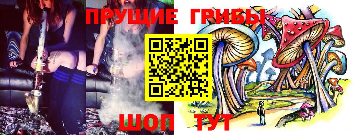 Галлюциногенные грибы Psilocybe  Галлюциногенные грибы GOLDEN TEACHER  Искитим  Вход с VPN 