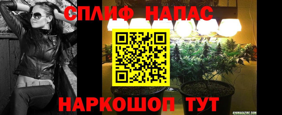 Конопля AK-47  Канабис семена  Вход с VPN  Бошки Шишки план  Искитим 